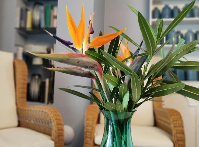 住宿加早餐酒店 Quinta Sao Goncalo