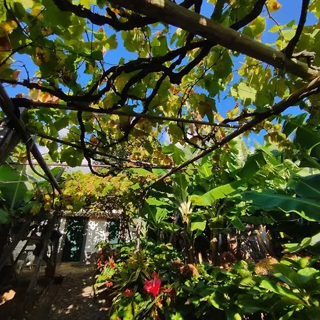 Quinta Sao Goncalo 3*