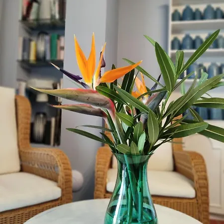 Bed & Breakfast Quinta Sao Goncalo