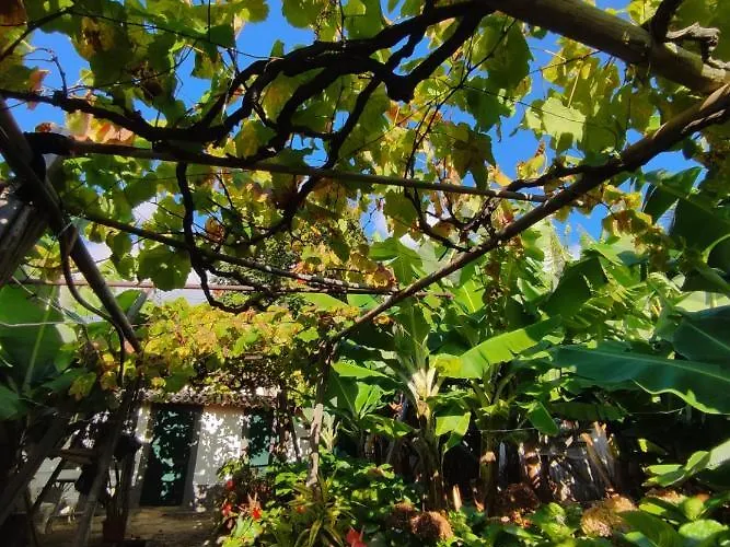 Quinta Sao Goncalo 3*